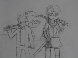 Size: 1024x768 | Tagged: safe, artist:brandonale, imported from derpibooru, twilight sparkle, equestria girls, clothes, cosplay, costume, crossover, high school of the dead, saeko busujima, shadow the hedgehog, sonic the hedgehog (series), takashi komuro