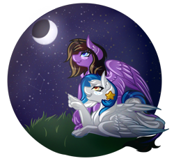 Size: 5400x5000 | Tagged: safe, artist:amazing-artsong, imported from derpibooru, oc, oc only, oc:brooke flower, oc:star seeker, hippogriff, pegasus, pony, absurd resolution, female, mare, moon, night, pointing, prone