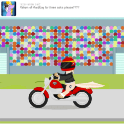 Size: 540x540 | Tagged: safe, artist:aha-mccoy, imported from derpibooru, oc, oc only, oc:jay aaron mclovin, earth pony, pony, nopony-ask-mclovin, animated, ask, clothes, clothes swap, crossdressing, gif, helmet, maid, male, motorcycle, motorcycle helmet, solo, stallion, tumblr