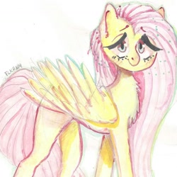 Size: 1289x1288 | Tagged: safe, artist:freshleaveskrnm, imported from derpibooru, fluttershy, pony, blushing, chest fluff, female, folded wings, looking at you, simple background, solo, traditional art