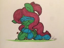 Size: 1024x768 | Tagged: safe, artist:reglisse-sama, imported from derpibooru, oc, oc only, oc:💚, earth pony, pony, clothes, flower, scarf, socks, solo, traditional art