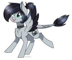 Size: 2080x1720 | Tagged: safe, artist:ohhoneybee, imported from derpibooru, oc, oc only, oc:silver lock, pony, chest fluff, collar, fluffy, ponytail, simple background, solo, tongue out, transparent background