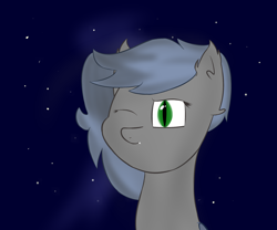Size: 1800x1500 | Tagged: safe, artist:melon frost, imported from derpibooru, oc, oc only, oc:eclipse penumbra, bat pony, pony, bust, ear fluff, night, night sky, one eye closed, portrait, smiling, solo, stars, wink