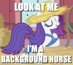 Size: 717x642 | Tagged: safe, edit, edited screencap, imported from derpibooru, screencap, rarity, pony, season 4, simple ways, background pony, background pony applejack, caption, female, image macro, meme, mocking, op is a duck, op is trying to start shit, rarihick, solo, tail, tail hole