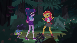 Size: 1100x618 | Tagged: safe, imported from derpibooru, screencap, sci-twi, spike, spike the regular dog, sunset shimmer, twilight sparkle, dog, equestria girls, legend of everfree, backpack, boots, cap, clothes, converse, fist, forest, hat, shoes, shorts, sneakers, socks