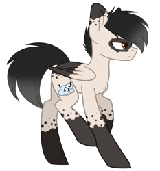 Size: 1343x1440 | Tagged: safe, artist:despotshy, imported from derpibooru, oc, oc only, oc:somnus, pegasus, pony, male, simple background, solo, stallion, transparent background