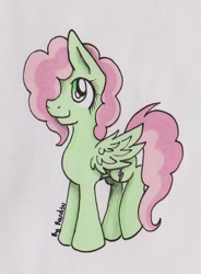 Size: 951x1290 | Tagged: safe, artist:pprinceran, imported from derpibooru, oc, oc only, oc:lizzie, pony, solo