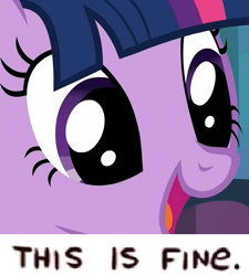 Size: 499x555 | Tagged: safe, edit, edited screencap, editor:watermelon changeling, imported from derpibooru, screencap, twilight sparkle, alicorn, pony, the fault in our cutie marks, cute, female, meme, solo, this is fine, twiabetes, twilight sparkle (alicorn)