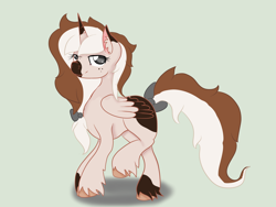 Size: 2048x1536 | Tagged: safe, artist:datdoughnut, imported from derpibooru, oc, oc only, oc:doughnut wubs, alicorn, pony, alicorn oc, bow, ear fluff, freckles, solo, tail bow, unshorn fetlocks