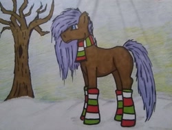 Size: 1280x960 | Tagged: safe, artist:depresyjnyolowek, imported from derpibooru, oc, oc only, pony, bare tree, blank flank, clothes, female, mare, random pony, scarf, snow, socks, solo, striped socks, traditional art, tree, winter