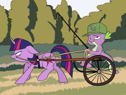 Size: 2000x1500 | Tagged: safe, artist:anontheanon, imported from derpibooru, spike, twilight sparkle, alicorn, pony, abuse, angry, bit, bridle, cap, floppy ears, frown, glare, grin, harness, hat, lidded eyes, lip bite, looking at you, pimp hat, pulling, raised hoof, raised leg, reins, rickshaw, riding crop, smiling, smirk, tack, twilight sparkle (alicorn), twilybuse, twisub, walking