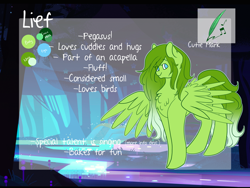 Size: 2000x1500 | Tagged: safe, artist:liefsong, imported from derpibooru, oc, oc only, oc:lief, pegasus, pony, reference sheet, solo