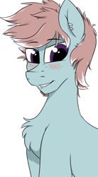 Size: 721x1304 | Tagged: safe, anonymous artist, imported from derpibooru, oc, oc only, oc:duty crew, pony, blushing, chest fluff, ear fluff, ear piercing, earring, fluffy, freckles, jewelry, male, piercing, solo, stallion