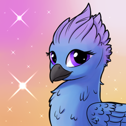 Size: 512x512 | Tagged: safe, artist:swiftsketchpone, imported from derpibooru, oc, oc only, oc:alia, griffon, bust, female, griffon oc, portrait, solo