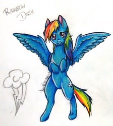 Size: 1024x1141 | Tagged: safe, artist:liswyn, imported from derpibooru, rainbow dash, pony, bipedal, female, solo, spread wings, traditional art