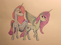 Size: 4392x3280 | Tagged: safe, artist:bumskuchen, imported from derpibooru, oc, oc only, alicorn, pony, absurd resolution, request, traditional art