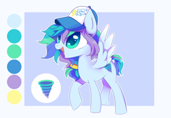 Size: 6398x4425 | Tagged: safe, artist:sorasku, imported from derpibooru, oc, oc only, pegasus, pony, absurd resolution, cap, female, hat, mare, reference sheet, solo