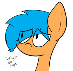 Size: 1381x1339 | Tagged: safe, artist:tecatito, imported from derpibooru, oc, oc only, oc:sasha, solo