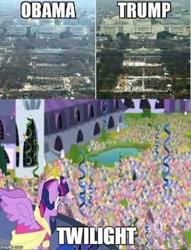 Size: 480x628 | Tagged: source needed, useless source url, safe, imported from derpibooru, twilight sparkle, alicorn, pony, barack obama, confetti, donald trump, drama bait, image macro, meme, politics, twilight sparkle (alicorn)