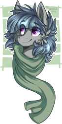 Size: 723x1436 | Tagged: safe, artist:tay-niko-yanuciq, artist:tenebristayga, imported from derpibooru, oc, oc only, pony, bust, clothes, male, portrait, scarf, simple background, solo, stallion, transparent background