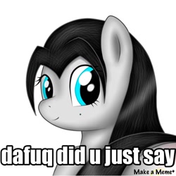 Size: 640x641 | Tagged: safe, artist:thepianistmare, edit, imported from derpibooru, oc, oc only, oc:klavinova, pony, cropped, image macro, meme, solo, vulgar