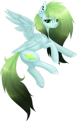 Size: 1025x1601 | Tagged: safe, artist:doekitty, imported from derpibooru, oc, oc only, pegasus, pony, female, mare, simple background, solo, transparent background