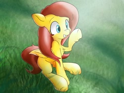 Size: 3027x2272 | Tagged: safe, artist:ando, imported from derpibooru, fluttershy, pony, cheek fluff, chest fluff, colored pupils, crepuscular rays, cute, female, field, grass, raised hoof, shyabetes, sitting, smiling, solo, sunlight, underhoof