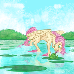 Size: 800x800 | Tagged: safe, artist:sun-shimmer, imported from derpibooru, fluttershy, frog, pony, female, lilypad, pond, solo, water