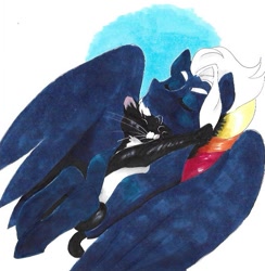 Size: 587x601 | Tagged: safe, artist:frozensoulpony, imported from derpibooru, oc, oc only, oc:fury spectrum, cat, pegasus, pony, male, offspring, parent:rainbow dash, parent:thunderlane, parents:thunderdash, sleeping, stallion, traditional art