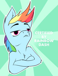 Size: 1900x2487 | Tagged: safe, artist:azerta56, imported from derpibooru, rainbow dash, chest fluff, female, fluffy, meme, solo