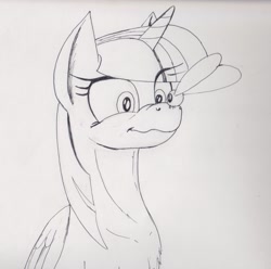 Size: 1672x1659 | Tagged: safe, artist:scribblepwn3, imported from derpibooru, twilight sparkle, alicorn, parasprite, pony, chest fluff, female, monochrome, nose wrinkle, pen drawing, scrunchy face, solo, traditional art, twilight sparkle (alicorn), wavy mouth