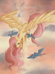 Size: 1024x1365 | Tagged: safe, artist:sketchyamy, imported from derpibooru, fluttershy, bird, cloud, female, flying, sky, solo, spread wings