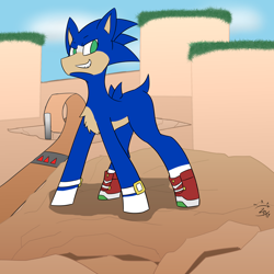 Size: 1920x1920 | Tagged: safe, artist:glassmenagerie, imported from derpibooru, earth pony, pony, green hill zone, ponified, smiling, smirk, solo, sonic the hedgehog, sonic the hedgehog (series)