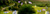 Size: 2561x736 | Tagged: safe, imported from derpibooru, aloe, apple bloom, applejack, babs seed, berry punch, bon bon, carrot top, clear skies, derpy hooves, discord, dj pon-3, doctor whooves, firefly, fluttershy, golden harvest, lotus blossom, lyra heartstrings, mayor mare, minuette, nurse redheart, octavia melody, photo finish, pinkie pie, princess cadance, princess flurry heart, rainbow blaze, rainbow dash, rarity, scootaloo, screwball, shining armor, soarin', sparkler (g1), spike, spitfire, starlight glimmer, surprise, sweetie belle, thunderlane, time turner, trixie, twilight sparkle, vinyl scratch, wild fire, alicorn, draconequus, dragon, earth pony, pegasus, pony, unicorn, background pony, female, filly, g1, g1 to g4, g4, generation leap, ghost car, irl, k-fee, looking at you, male, mane seven, mane six, photo, picnic, ponies in real life, road, scary car, stallion, tree, twilight sparkle (alicorn)