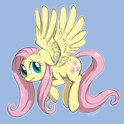 Size: 1000x1000 | Tagged: safe, artist:tehflah, imported from derpibooru, fluttershy, colored pupils, cute, female, floppy ears, flying, looking at you, looking sideways, nervous, redraw, shyabetes, simple background, solo, spread wings