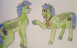 Size: 960x600 | Tagged: safe, artist:rapidsnap, imported from derpibooru, oc, oc only, oc:rapidsnap, oc:twister, pegasus, pony, fanfic:piercing the heavens, angry, argument, brothers, crystal, pointing, traditional art, twins