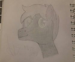 Size: 1280x1062 | Tagged: safe, artist:seabridge drive, imported from derpibooru, oc, oc only, oc:storm twirl, looking at you, solo, traditional art