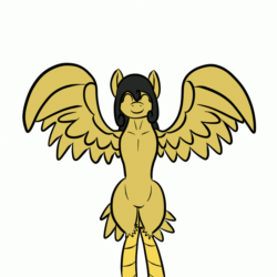 Size: 800x800 | Tagged: safe, artist:happydeadpony, imported from derpibooru, oc, oc only, oc:cloepty, bird, harpy, monster pony, original species, animated, butt, chicken dance, colored, colored pupils, cute, dancing, female, gif, harpony, plot, shake, simple background, solo, white background, wings
