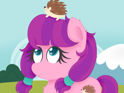 Size: 1600x1200 | Tagged: safe, artist:zlight, imported from derpibooru, lily longsocks, earth pony, hedgehog, pony, adorasocks, cute, female, filly, lilydorable, looking up, pet, sitting on head, solo