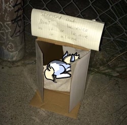 Size: 676x668 | Tagged: safe, artist:nootaz, imported from derpibooru, oc, oc only, oc:nootaz, cardboard box, homeless, meme, ponified animal photo, sign, solo