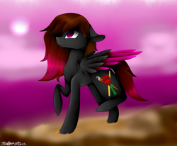 Size: 1024x843 | Tagged: safe, artist:purediamond360, imported from derpibooru, oc, oc only, pegasus, pony, colored wings, female, mare, multicolored wings, raised leg, solo