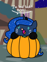 Size: 1350x1800 | Tagged: safe, artist:flutterluv, imported from derpibooru, princess luna, alicorn, pony, animal costume, cat costume, chibi, clothes, costume, cute, dialogue, female, jewelry, lunabetes, mare, night, outdoors, pumpkin, regalia, smiling, solo