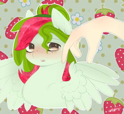 Size: 1125x1040 | Tagged: safe, artist:anfytamin, imported from derpibooru, oc, oc only, oc:watermelana, human, pony, blushing, bust, food, freckles, hand, offscreen character, petting, solo, strawberry, stroking