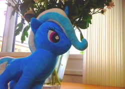 Size: 2294x1639 | Tagged: safe, artist:grapefruitface1, imported from derpibooru, trixie, aesthetics, flower, irl, merchandise, photo, plushie, solo, toy, waifu, wallpaper