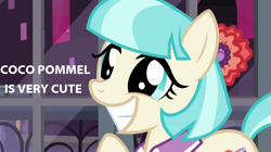 Size: 1280x716 | Tagged: safe, imported from derpibooru, coco pommel, cocobetes, cute, female, grin, happy, smiling, solo, squee, truth