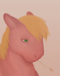 Size: 545x694 | Tagged: safe, artist:peemuska, imported from derpibooru, big macintosh, earth pony, pony, male, solo, straw in mouth