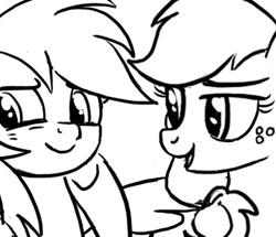 Size: 768x661 | Tagged: safe, artist:ruhje, imported from derpibooru, applejack, rainbow dash, earth pony, pegasus, pony, appledash, black and white, duo, female, grayscale, implied appledash, implied lesbian, implied shipping, lesbian, mare, monochrome, shipping, sketch, wip
