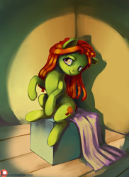 Size: 872x1200 | Tagged: safe, artist:lexx2dot0, artist:maytee, imported from derpibooru, tree hugger, earth pony, pony, collaboration, female, mare, modeling, patreon, patreon logo, smiling, solo