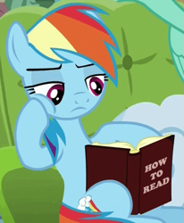 Size: 469x570 | Tagged: safe, edit, edited screencap, imported from derpibooru, screencap, lightning dust, rainbow dash, pegasus, pony, book, bored, cheek squish, couch, female, frown, how to read, illiterate, image macro, leaning, lidded eyes, mare, meme, paradox, reading, solo focus, squishy cheeks, wat