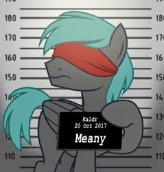 Size: 700x733 | Tagged: safe, artist:red-iska, imported from derpibooru, oc, oc only, oc:discreet eye, pegasus, pony, blindfold, solo